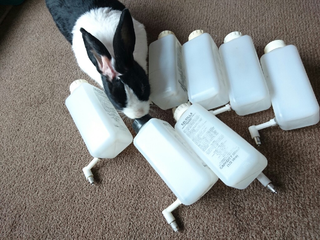 hans inspecting water bottles