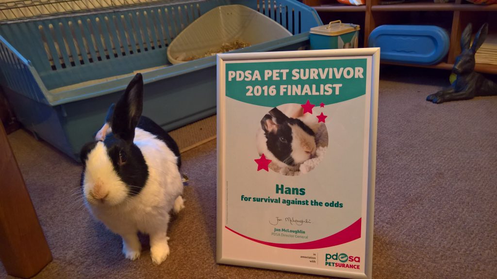 hans with pdsa pet survivor certificate