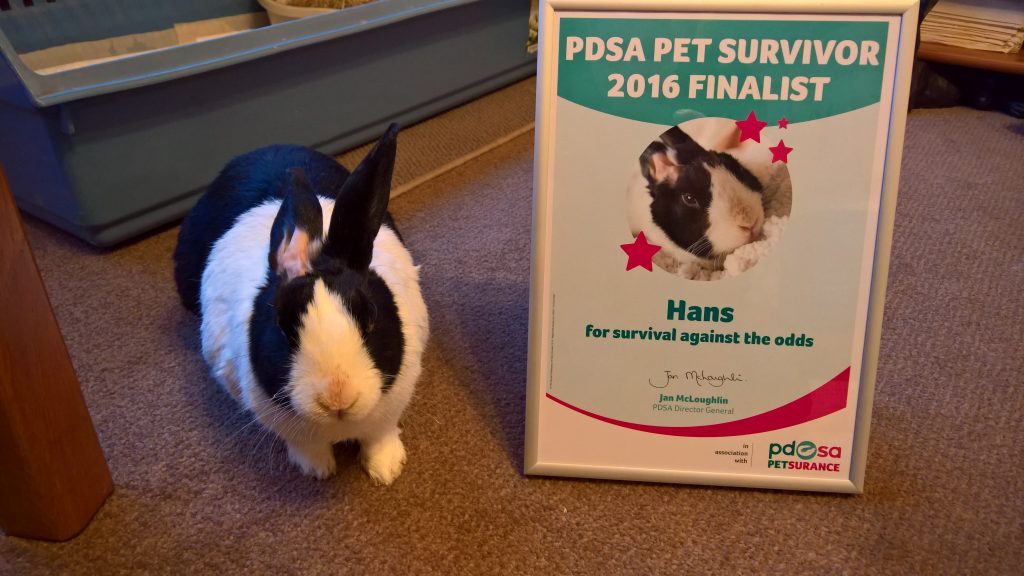 hans with pdsa pet survivor certificate
