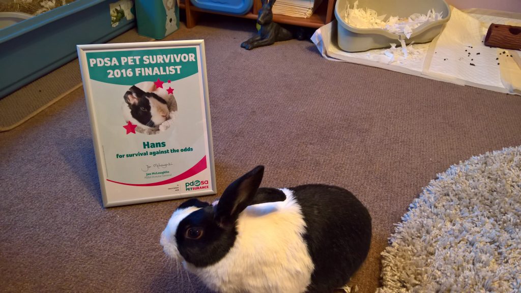 hans with pdsa pet survivor certificate