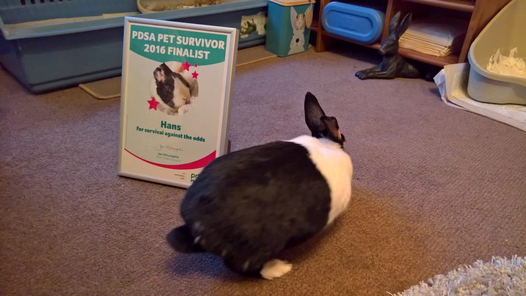 hans with pdsa pet survivor certificate