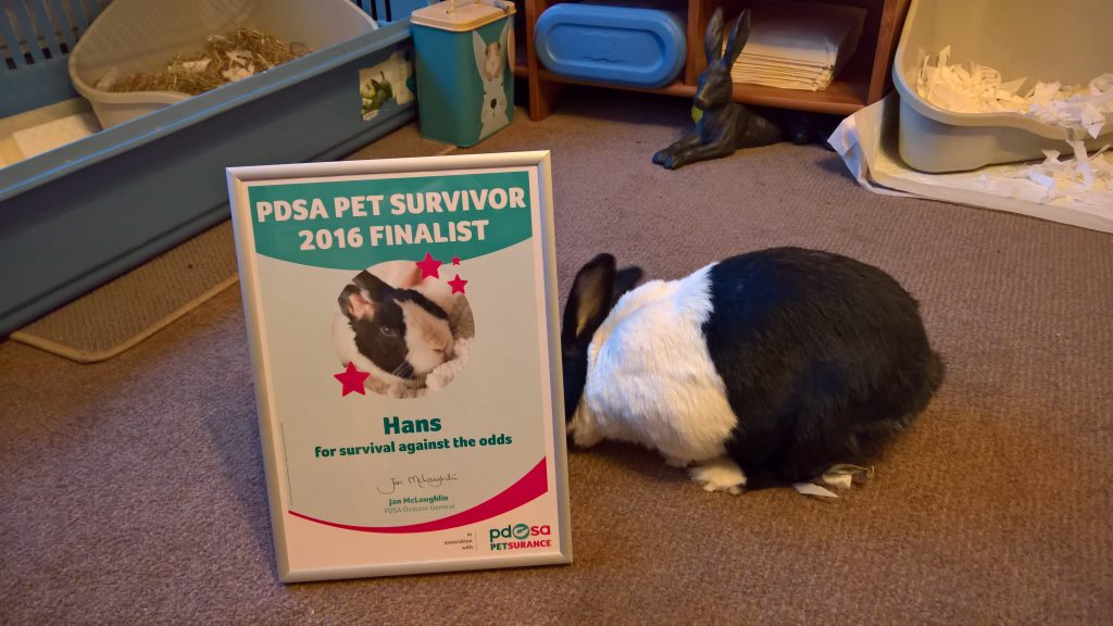 hans with pdsa pet survivor certificate