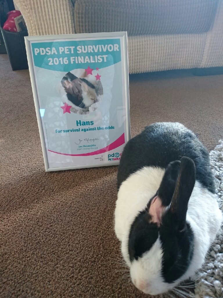 hans with pdsa pet survivor certificate